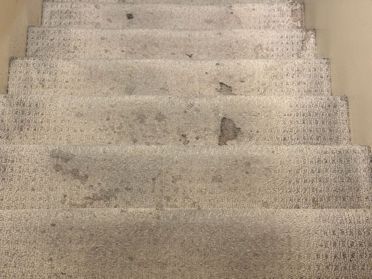 Stairs cleaning