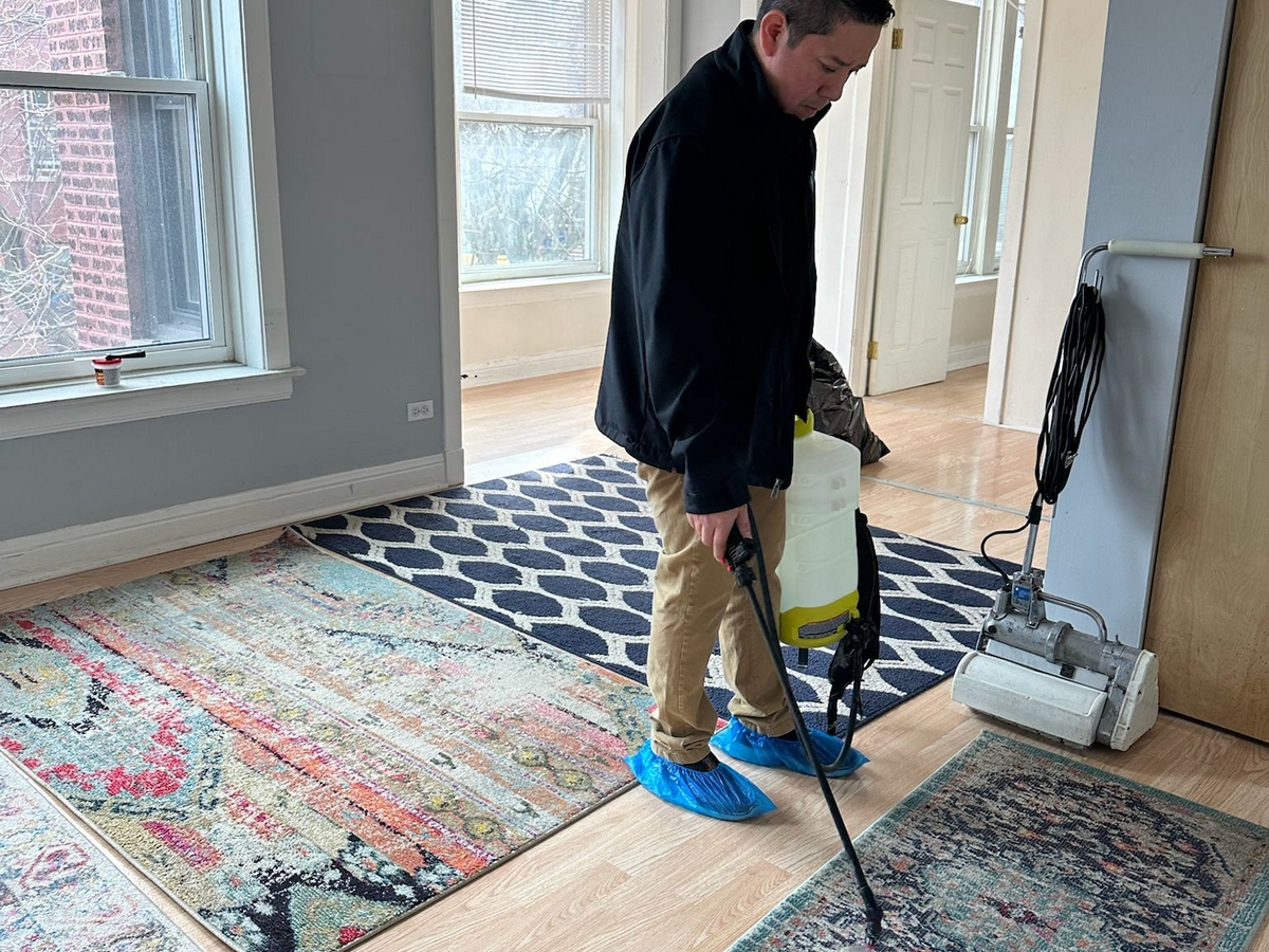 Rug Cleaning